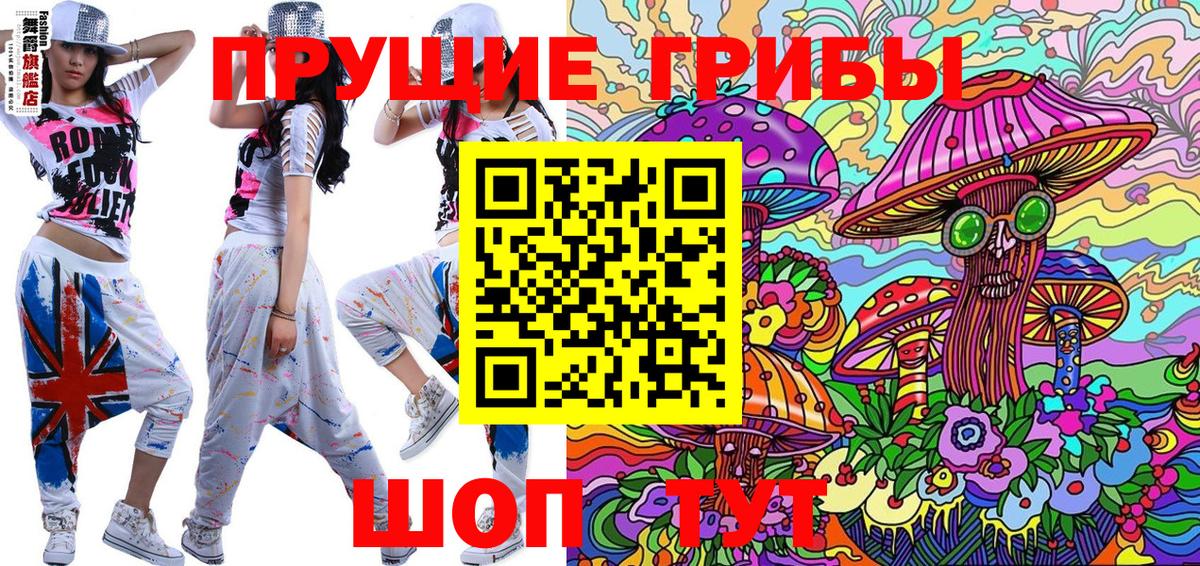 Новотроицк  Галлюциногенные грибы GOLDEN TEACHER  цены   Вход с VPN 